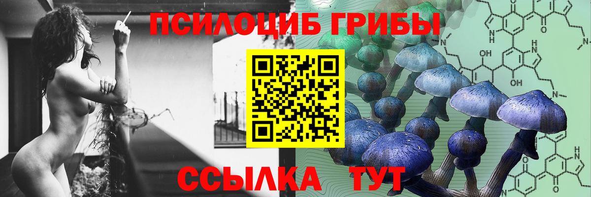 Псилоцибиновые грибы Cubensis  Вход с VPN  где найти   Кореновск 